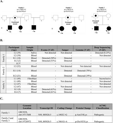 Case report: Deep sequencing and long-read genome sequencing refine prior genetic analyses in families with apparent gonadal mosaicism in PIK3CD-related activated PI3K delta syndrome